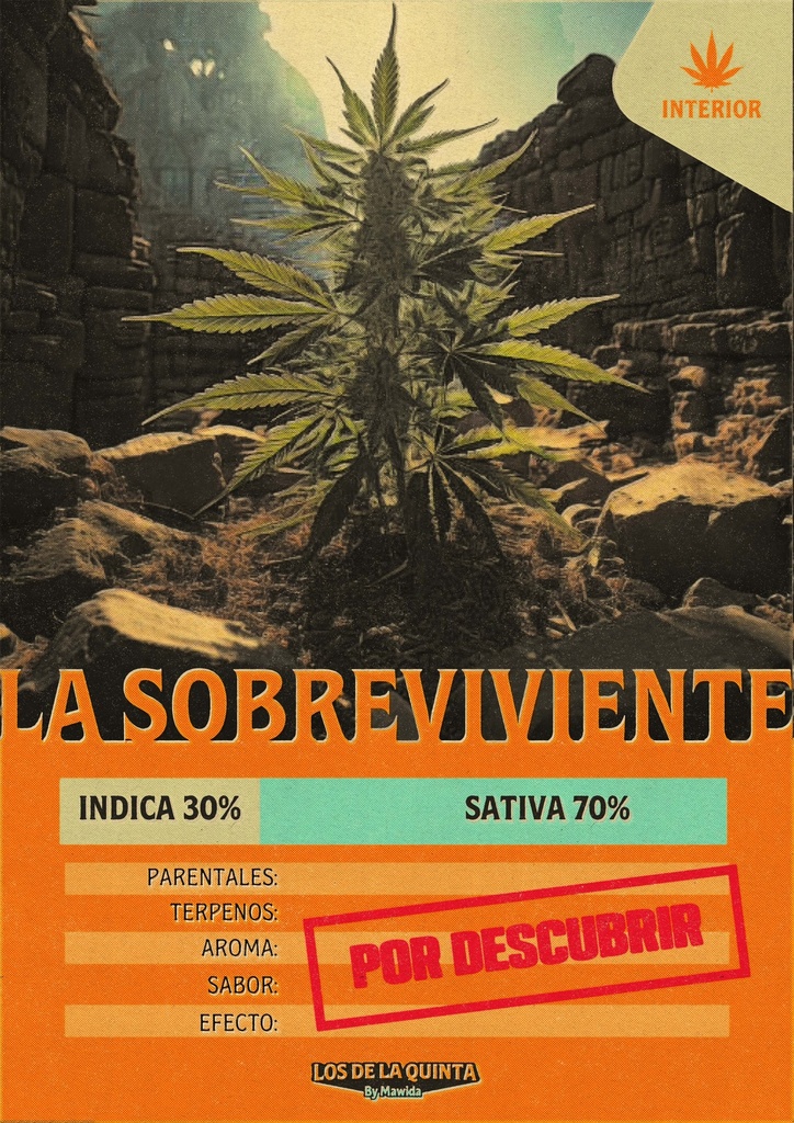 Sobreviviente (5 Gramos)
