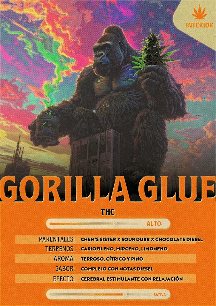 Gorilla Glue (5 Gramos)