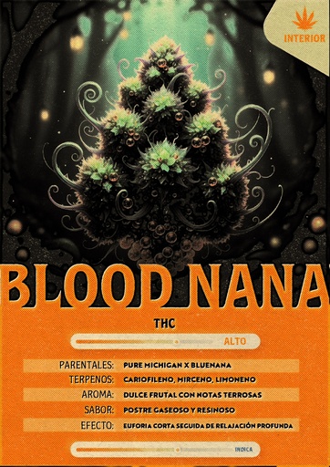 [MFI_BN5G] Blood Nana (5 Gramos)